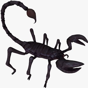 Scorpion (RIGGED)