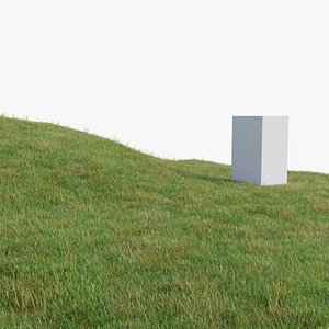 Grass Field 3D model