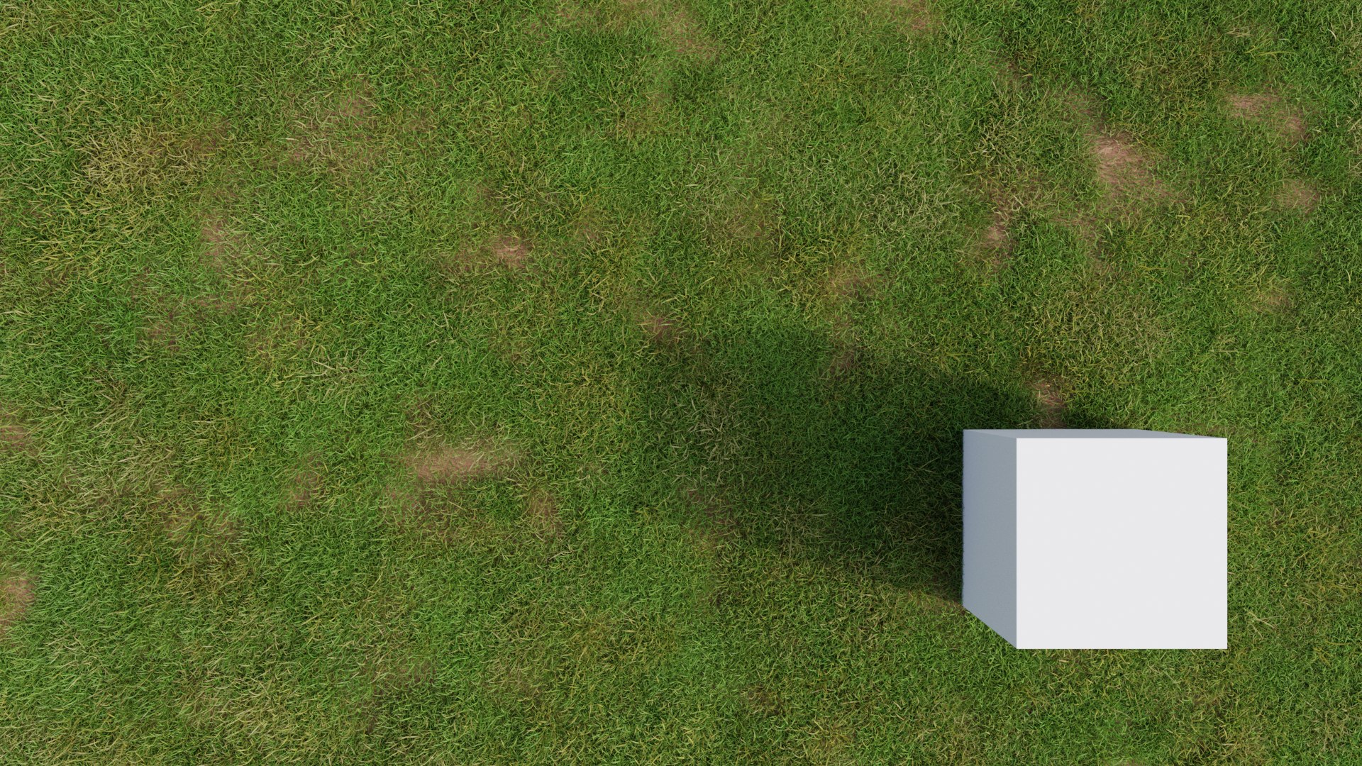 Grass Field 3D Model - TurboSquid 1925688