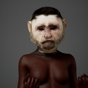 Metahuman Capuchin Monkey