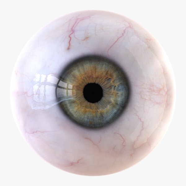 Eyes 3D Models for Download | TurboSquid