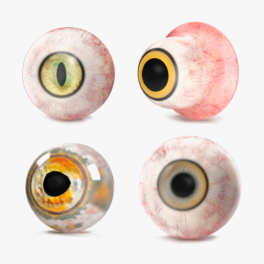 Realistic Animal Eyes Collection 4 3D model preview