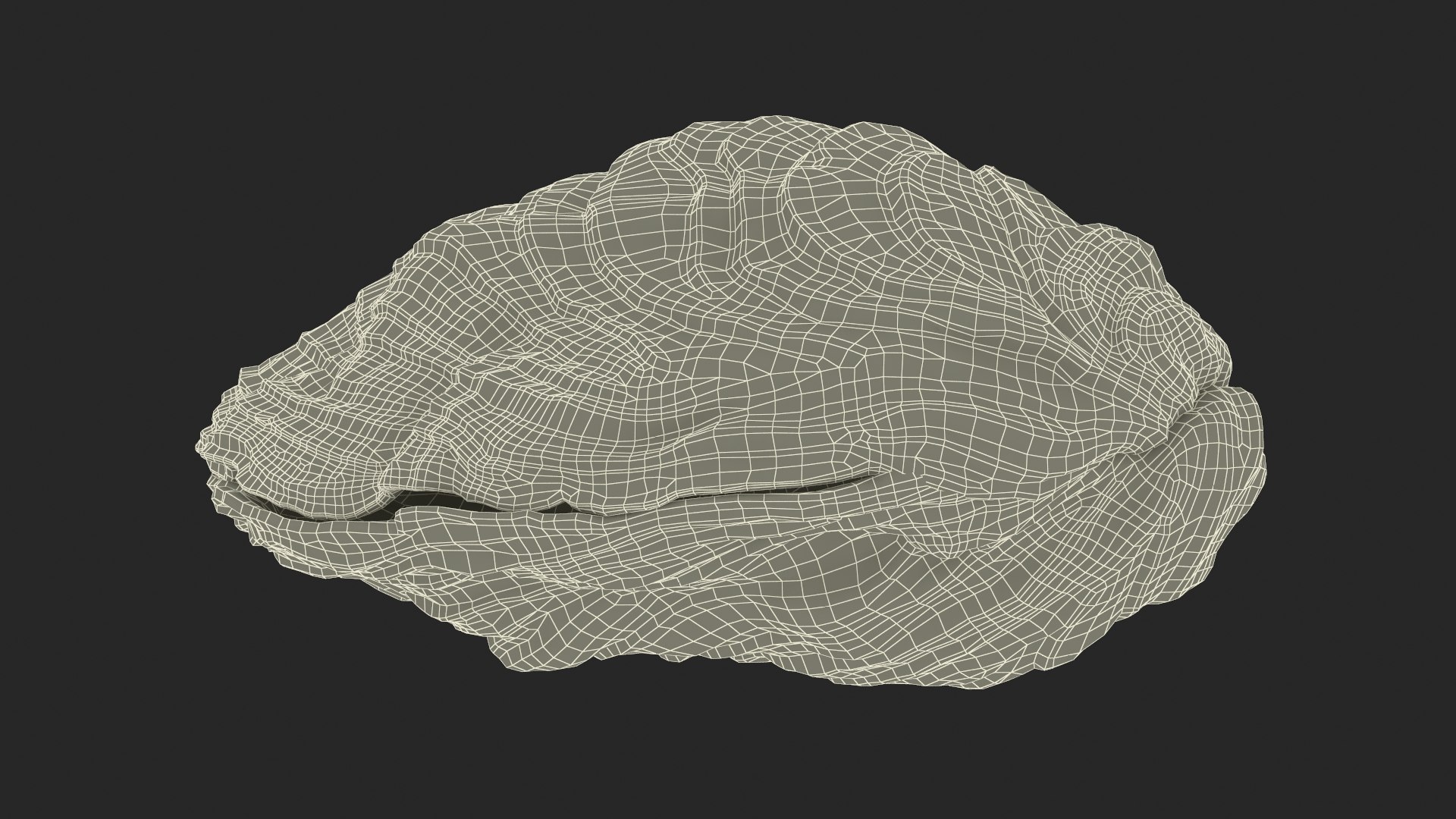3D Closed Shell - TurboSquid 2389930