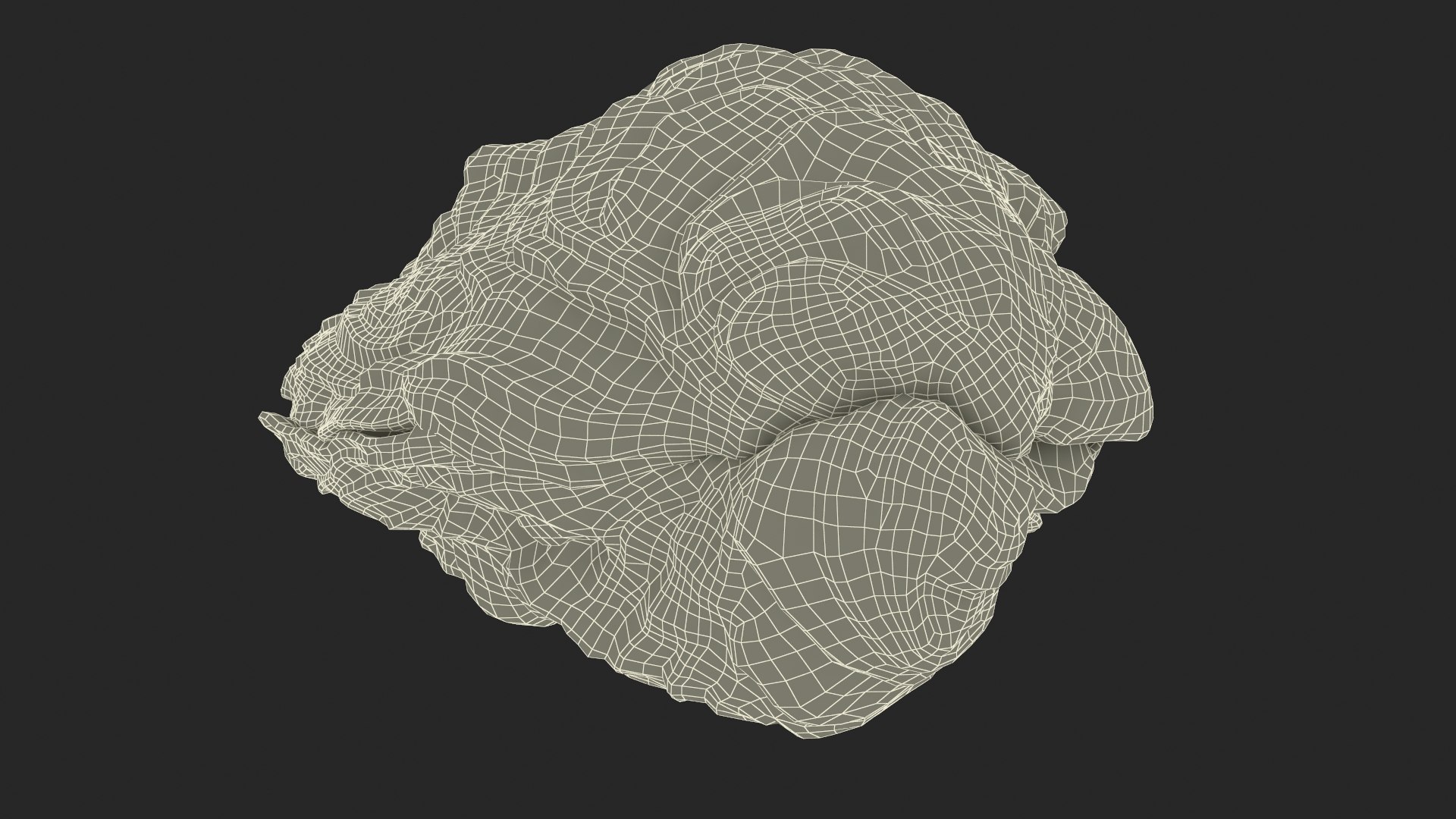 3D Closed Shell - TurboSquid 2389930