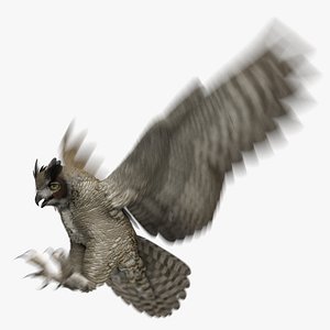 3D great horned owl animation model