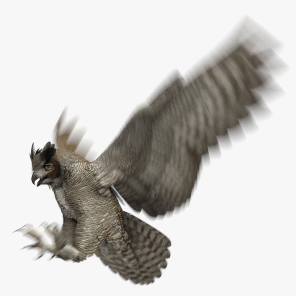 3D great horned owl animation model