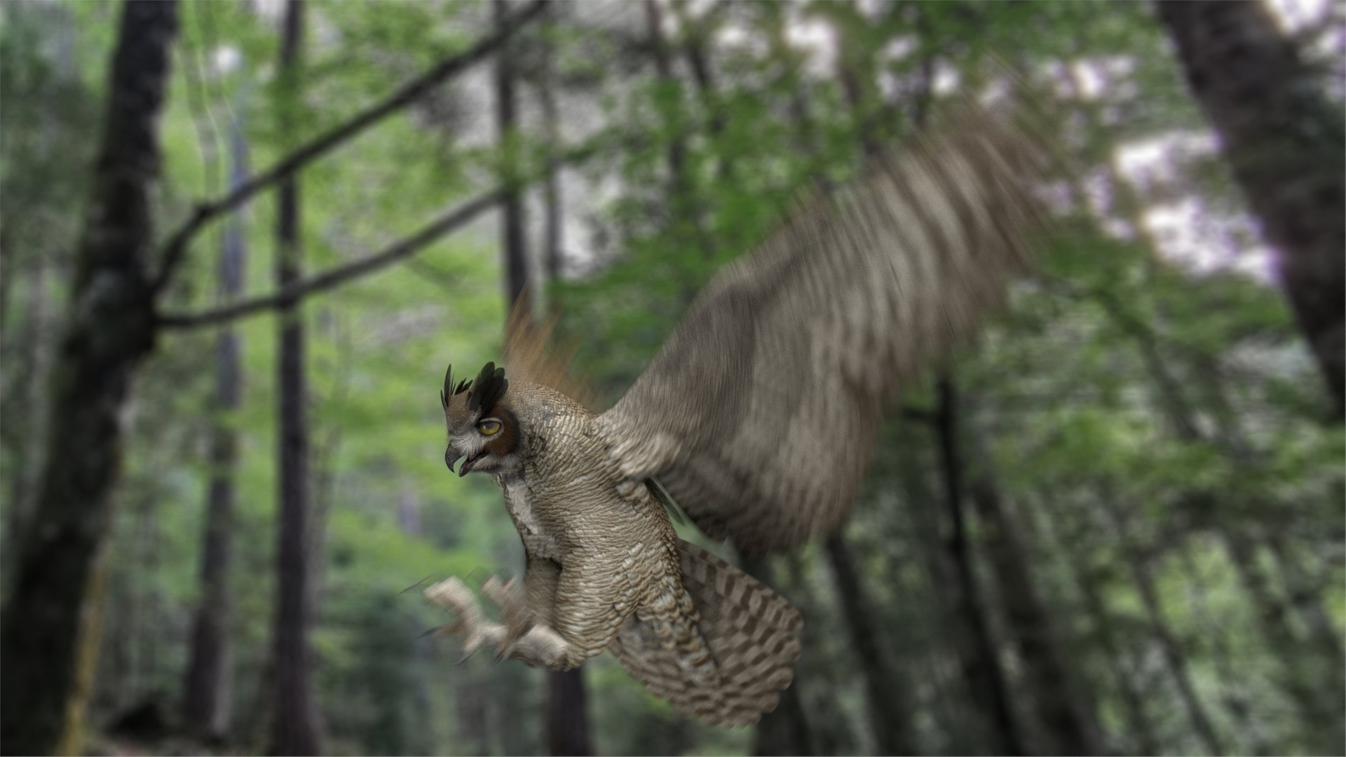 3D great horned owl animation model https://p.turbosquid.com/ts-thumb/YD/BfQnOE/xrb8H8cY/ra02/jpg/1578301332/1920x1080/fit_q87/6604924c20c82d07787a42b349ebf4845fb2105d/ra02.jpg