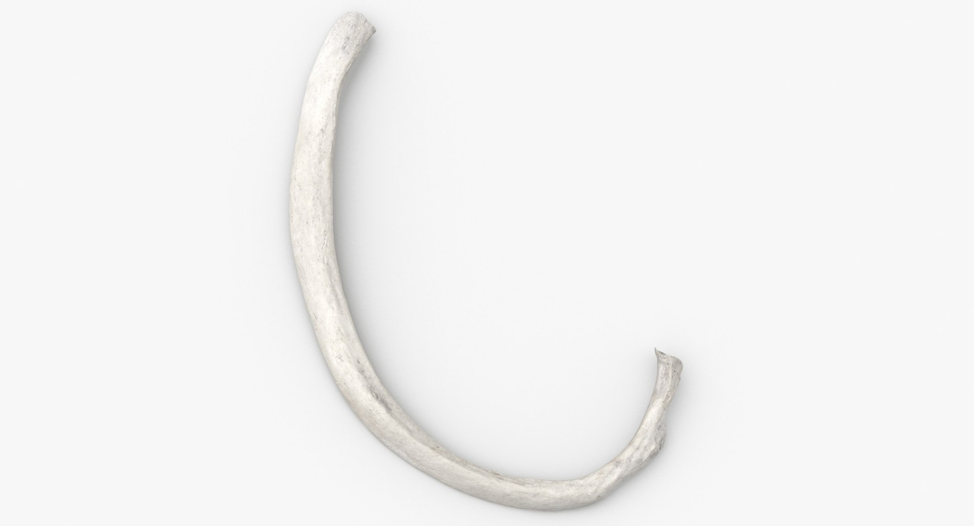 3D Human Ribs and Spine Bones Collection White and Yellow - 48 models https://p.turbosquid.com/ts-thumb/YD/F1Q7rH/Xy/costae_verae_true_rib_03_02_white_thumbnail_0002/jpg/1625748873/1920x1080/fit_q87/472669b67ae6607ec0a43fa6cec2c379db32c3e8/costae_verae_true_rib_03_02_white_thumbnail_0002.jpg