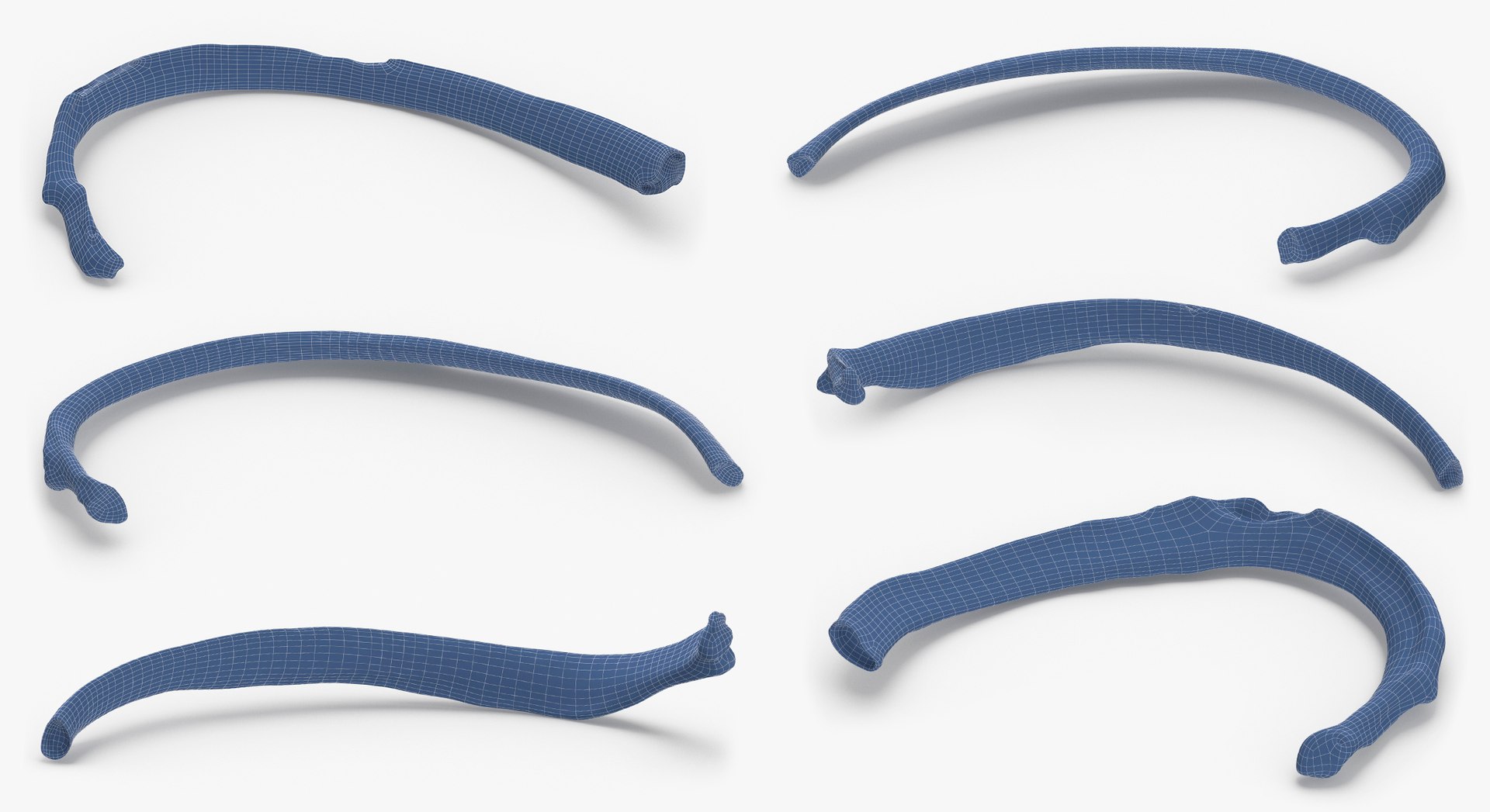 3D Human Ribs and Spine Bones Collection White and Yellow - 48 models https://p.turbosquid.com/ts-thumb/YD/F1Q7rH/cC/11w/jpg/1625749408/1920x1080/fit_q87/a23c47bc2149b0d9c8f3f3556866738304c603e5/11w.jpg