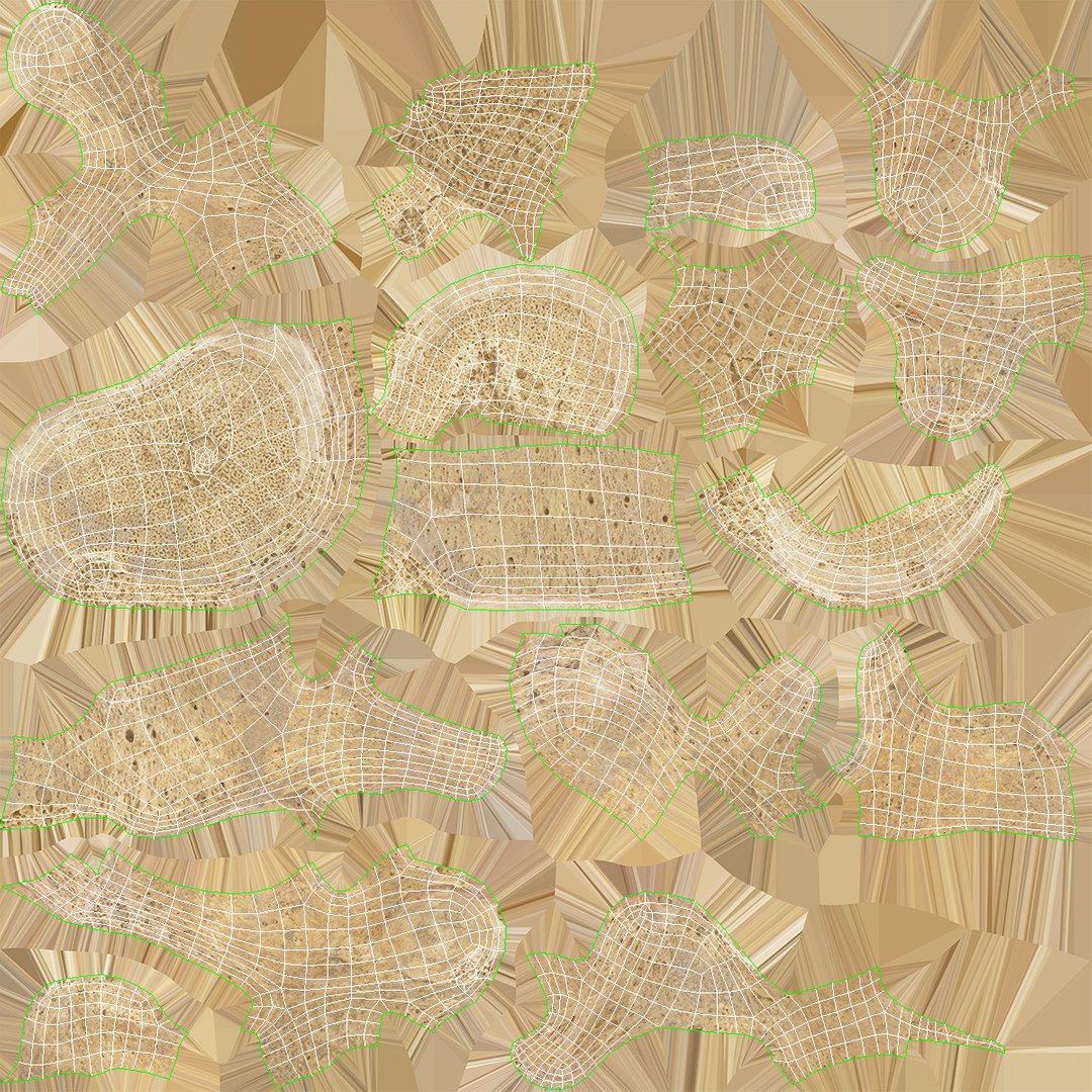 3D Human Ribs and Spine Bones Collection White and Yellow - 48 models https://p.turbosquid.com/ts-thumb/YD/F1Q7rH/jE/lumbar_vertebrae_l1_to_l5_damaged_001_wuv/jpg/1625749686/1920x1080/fit_q87/22106a9e17031dfcbaf7a3c1d84b975c9202485e/lumbar_vertebrae_l1_to_l5_damaged_001_wuv.jpg