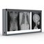 XRay Light Box
