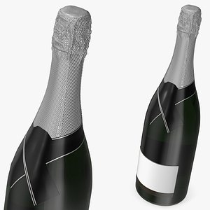 3D Premium Champagne Bottle