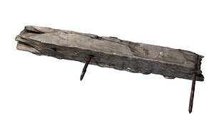 sliver with a rusty nail