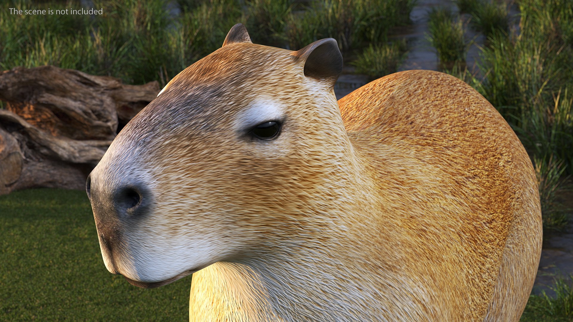 Pose de caminhada de capivara Modelo 3D $129 - .max - Free3D