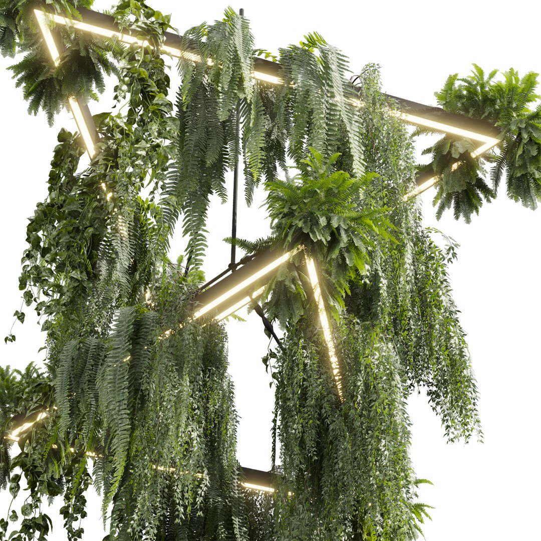 plant vol 997 - hanging - Pothos - Fern - Chandelier 3D model https://p.turbosquid.com/ts-thumb/YD/jsCvl0/9U/2/jpg/1787504250/1920x1080/fit_q87/380cddc6b72556efaa835889b108176b9c92fcc8/2.jpg