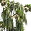 pianta vol 997 - pendente - Pothos - Felce - Lampadario