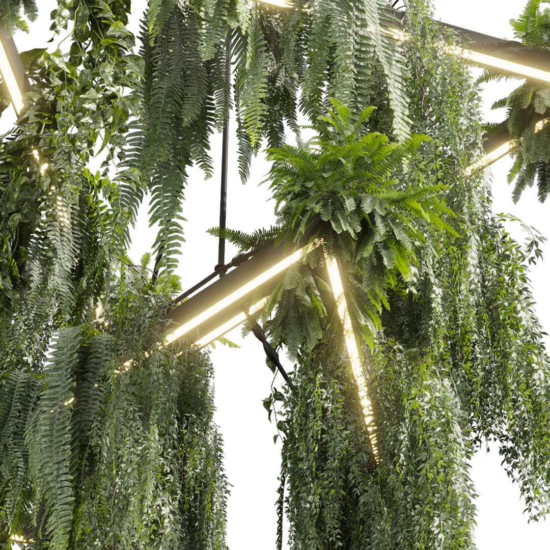 plant vol 997 - hanging - Pothos - Fern - Chandelier 3D model https://p.turbosquid.com/ts-thumb/YD/jsCvl0/aX/4/jpg/1787504258/1920x1080/fit_q87/349f8d4d6d43f847226c492956b351cfb198c4e0/4.jpg
