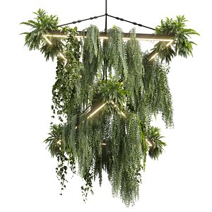 plant vol 997 - hanging - Pothos - Fern - Chandelier 3D model