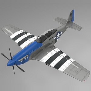 petie 3rd north american 3D