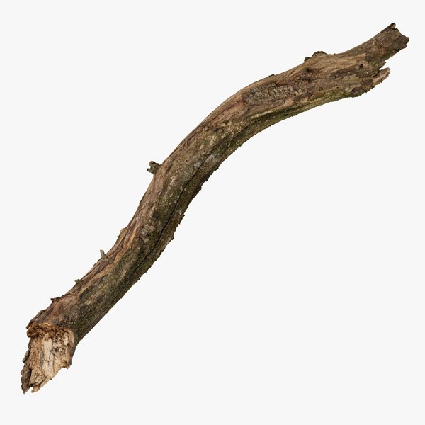 3D Broken Branch 01 RAW Scan model