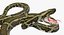3D green python snake rigged
