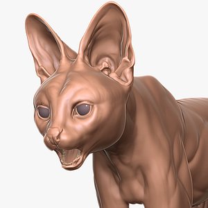 Serval Cat Cub Primary Forms Zbrush Sculpt 3D model