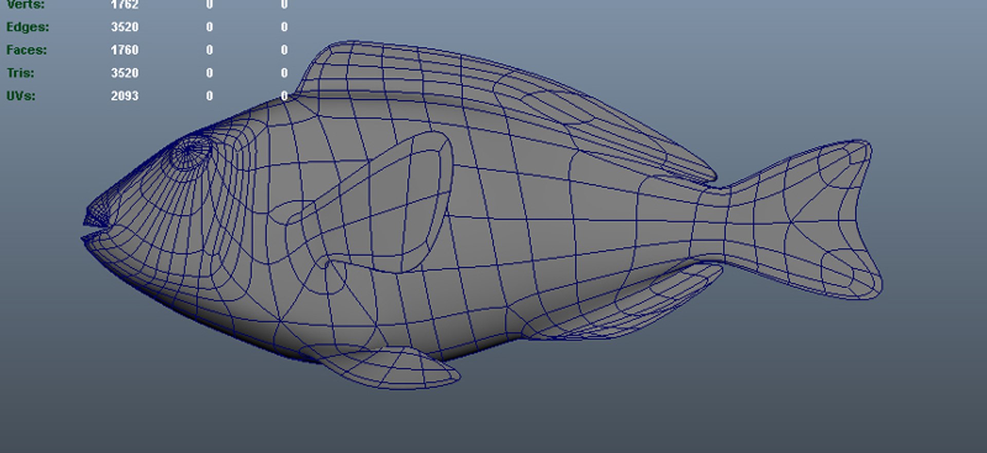 X Stoplight Parrotfish