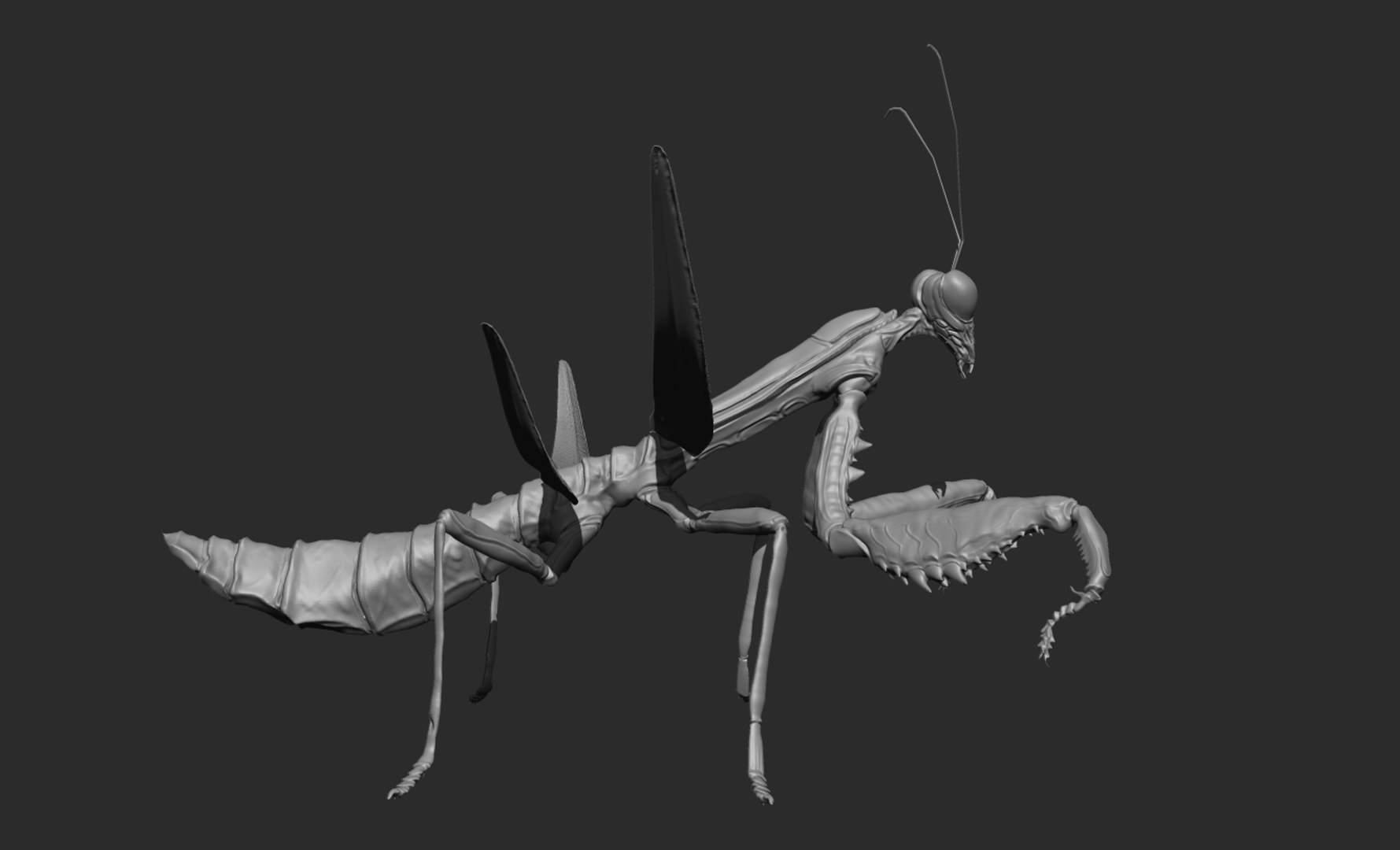 3D Model Praying Mantis - TurboSquid 1515490