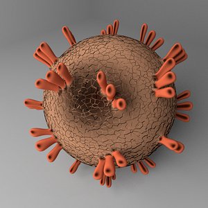 Mers Virus