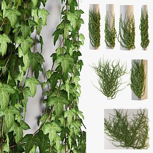 Realistic Ivy Plants Set GrowFx Included