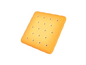 square cracker 3D model