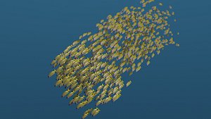 Animated School Of Blue Stripe Snapper Fishes Swimming