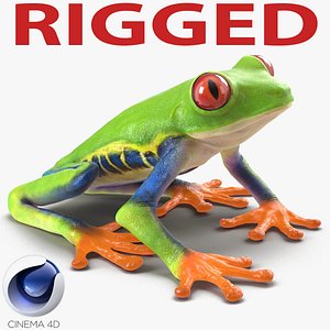 Red Eyed Tree Frog Rigged for Cinema 4D