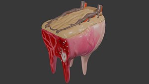 Cow udder