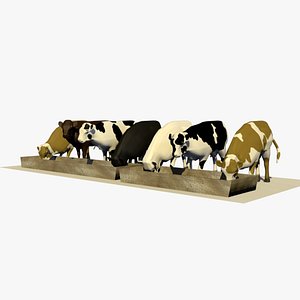 Animation of A Group of 7 Cows Eating From Food Trough