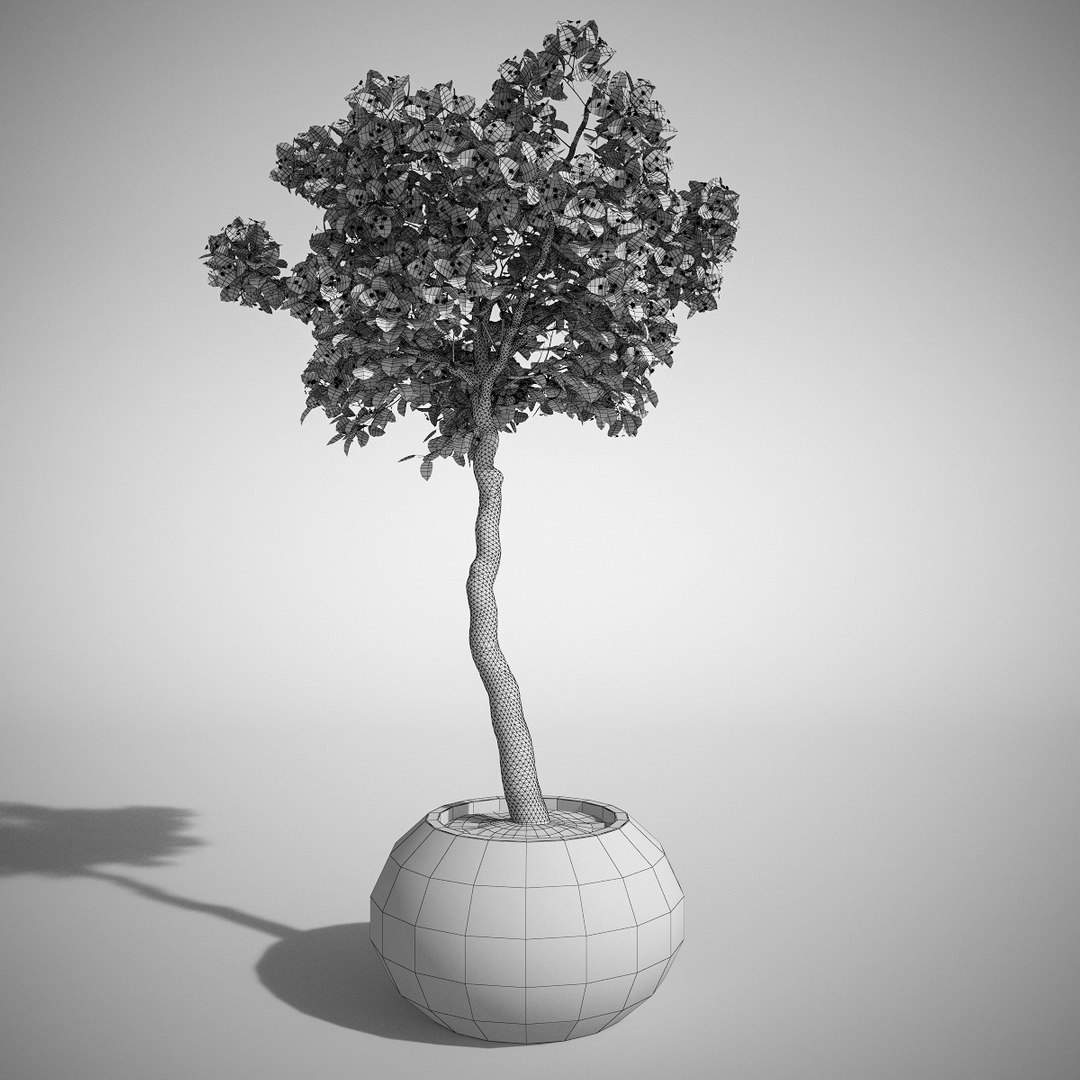 3d model set bougainvillea trees 1 https://p.turbosquid.com/ts-thumb/YF/asNyfS/14aw4Efj/6/jpg/1457807670/1920x1080/fit_q87/eb15015ff05b1922c9f34f43627aa7cc3052f488/6.jpg