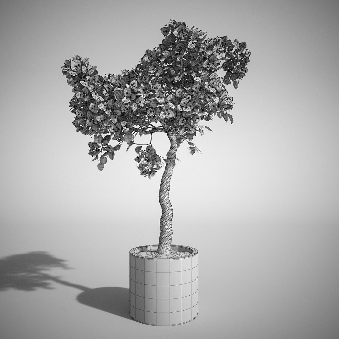 3d model set bougainvillea trees 1 https://p.turbosquid.com/ts-thumb/YF/asNyfS/2bRXrprG/4/jpg/1457807670/1920x1080/fit_q87/63f36b4be4c869cfe7334caabb0b20973c454f14/4.jpg