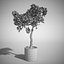 Bougainvillea set 1