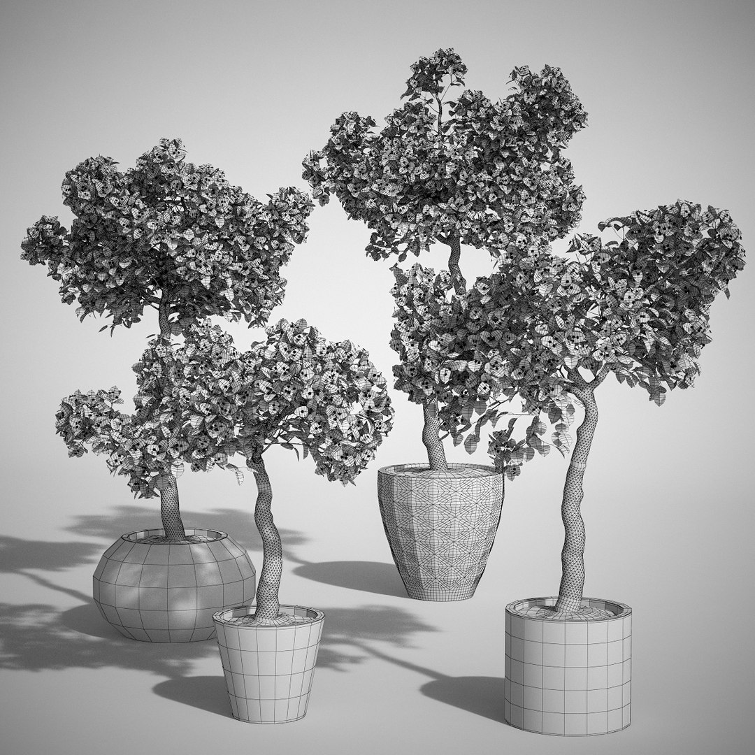 3d model set bougainvillea trees 1 https://p.turbosquid.com/ts-thumb/YF/asNyfS/Rl1BeMr3/12/jpg/1457807670/1920x1080/fit_q87/47e95e9880041edfd5ad80ff697b29f3d967dce1/12.jpg