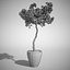 Bougainvillea set 1
