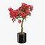 Bougainvillea set 1