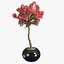Bougainvillea set 1