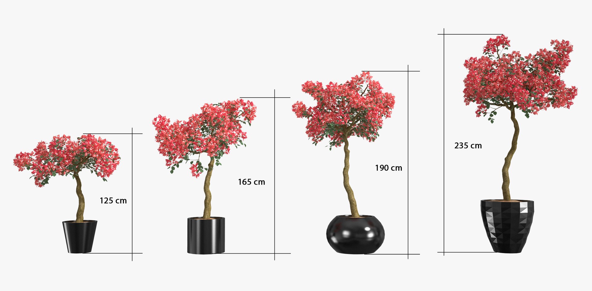 3d model set bougainvillea trees 1 https://p.turbosquid.com/ts-thumb/YF/asNyfS/wO9ZuF0z/10/jpg/1457807670/1920x1080/fit_q87/a75841a6bac7249d33aff6d1f312e047eb784f5c/10.jpg