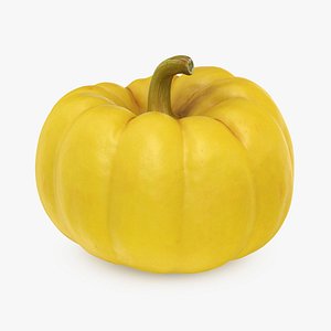 3D Pumpkin Small Yellow model