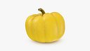 Pumpkin Small Yellow