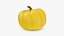 Pumpkin Collection 3