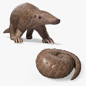 Scaled Pangolin Wildlife Defends Animated Rigged For Blender