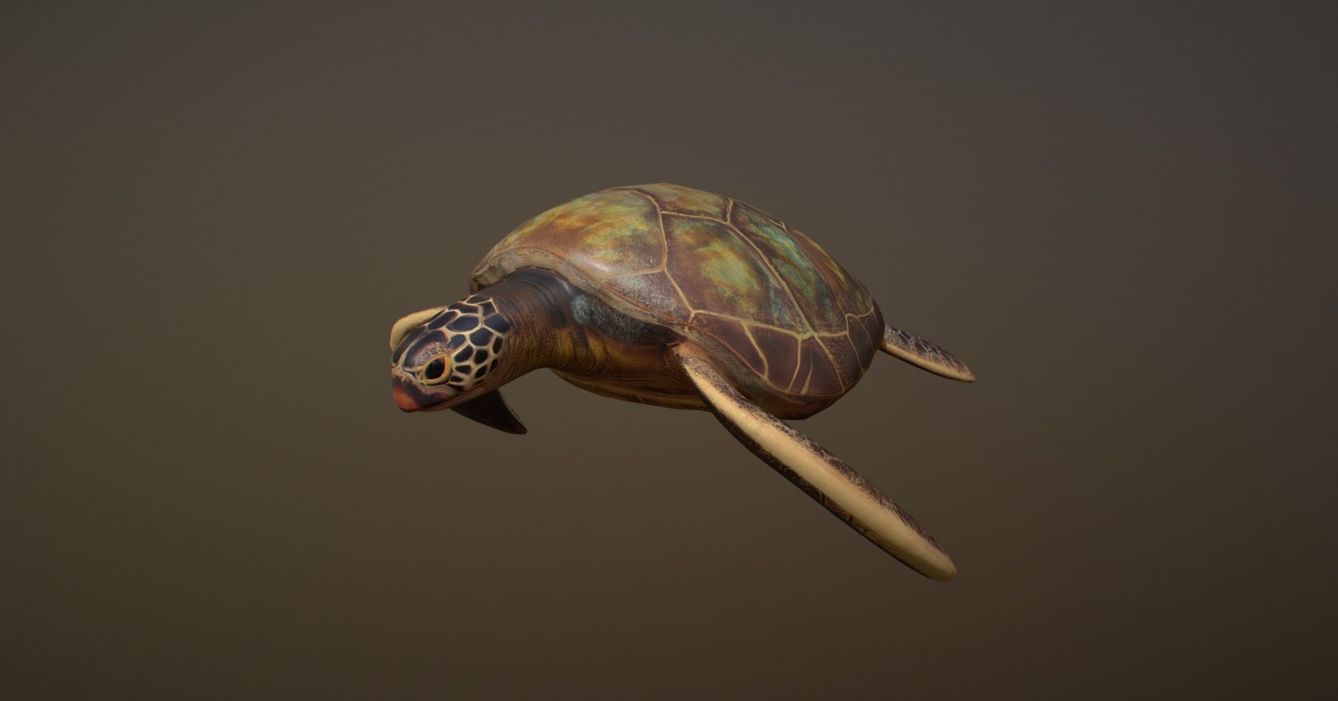 turtle ar vr 3D model https://p.turbosquid.com/ts-thumb/YF/sZqHs4/38cqpWFx/editturtlesketchfabgooglechrome2018121019.12.48/jpg/1544458504/1920x1080/fit_q87/905c7545b4448e495f8e46cbffc2ecf2774c82b9/editturtlesketchfabgooglechrome2018121019.12.48.jpg