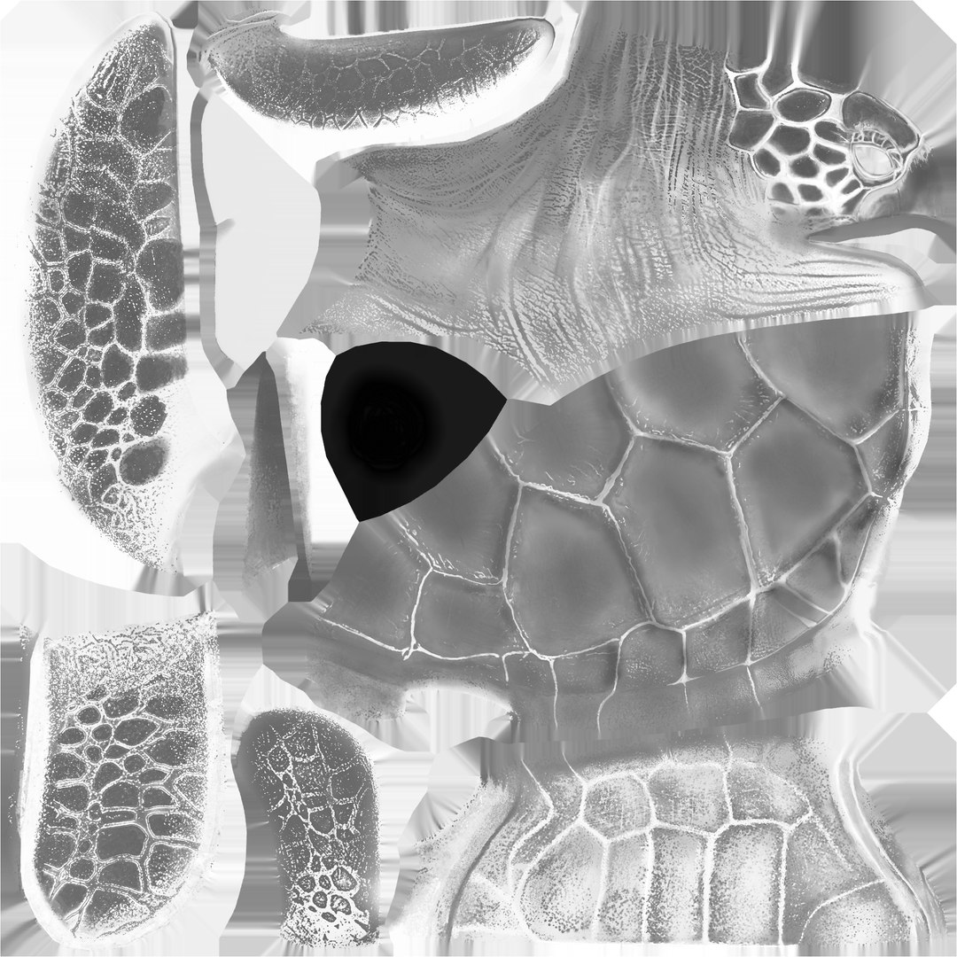 turtle ar vr 3D model https://p.turbosquid.com/ts-thumb/YF/sZqHs4/EOY8jqp4/tur_roughness/png/1544458424/1920x1080/fit_q87/77ba0a74c0bd7f0ccd7d600555bdaaf4af0cc65b/tur_roughness.jpg
