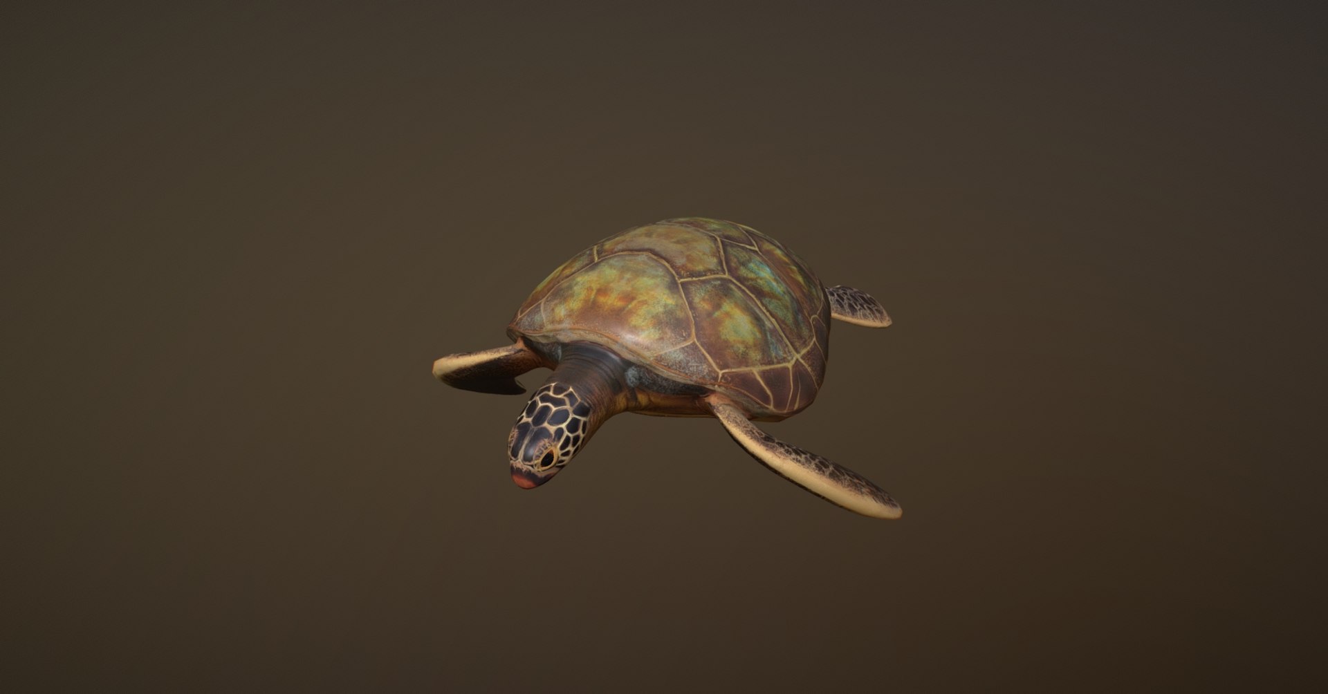 turtle ar vr 3D model https://p.turbosquid.com/ts-thumb/YF/sZqHs4/gaTndCRC/editturtlesketchfabgooglechrome2018121019.13.04/jpg/1544458522/1920x1080/fit_q87/93ad4c94147a0d0f53806098123bafaf6fc92d99/editturtlesketchfabgooglechrome2018121019.13.04.jpg